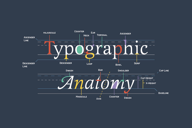 Feature image for "ស្វែង​យល់​ពី​ពុម្ព​អក្សរ (Font)" article.